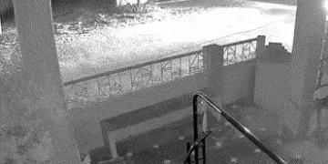 ગોધરામાં તસ્કરો બેફામ: ભાજપ યુવા મોરચાના મહામંત્રીની સ્કોર્પિયો કાર ઘરઆંગણેથી ચોરાઈ, ઘટના CCTVમાં કે…