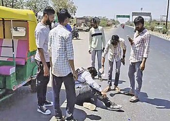 ધ્રાંગધ્રામાં મધમાખીના ઝુંડનો બાઈક સવાર યુવક પર હુમલો | A swarm of bees attacked a young man riding …