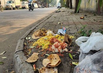 રસ્તા વચ્ચે વધેલો ખોરાક નાખવાની પ્રવૃતિ યથાવત | The practice of throwing leftover food on the road c…