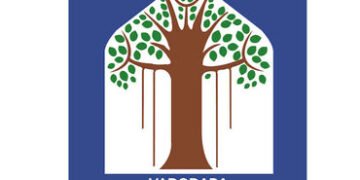 વિકાસ કામો વચ્ચે ધૂળનું સામ્રાજ્ય, સાઈટો ખાતે પાણીનો છંટકાવ ન થતા નાગરિકો પરેશાન | Dust reigns amids…