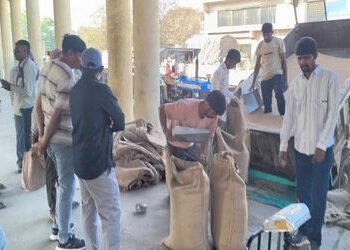 વઢવાણ માર્કેટ યાર્ડમાં 12 દિવસના વિલંબ બાદ ટેકાના ભાવે તુવેરની ખરીદીનો પ્રારંભ | After a delay of 12…