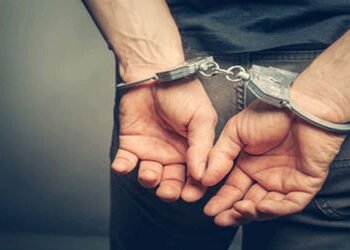 ટેન્ડરના નામે કરોડોના કૌભાંડમાં ઠગ નિરવ દવેના પિતા અને પુત્રની ધરપકડ | Father and son of thug Nirav …