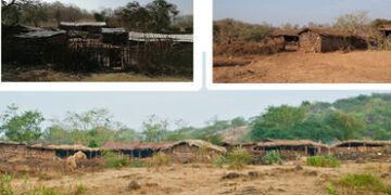 વનમાં ઉનાળો : ગીરના નેસડાઓમાંથી પશુધન સાથે માલધારીઓનું સ્થળાંતર | Summer in the forest: Migration of…