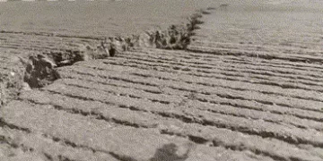 2 વર્ષમાં જ ભાવનગર-સોમનાથ હાઈવે પર ‘ભ્રષ્ટાચાર’ના ગાબડા, રાજુલામાં બ્રિજ પર 40 મીટર લાંબી તિરાડો | B…