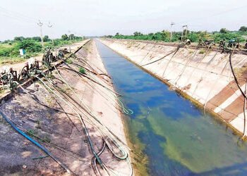 સુરેન્દ્રનગરની મોરબી કેનાલ પાણી 15 માર્ચથી બંધ કરવામાં આવશે | Morbi Canal water in Surendranagar wil…