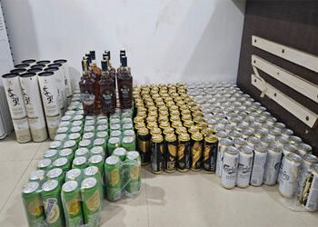 પિકઅપમાં બિયરના 104 બોક્સ સાથે રાજસ્થાનનો ચાલક ઝડપાયો | Rajasthan driver caught with 104 boxes of be…