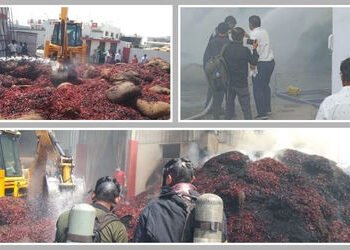 જામનગર: હાપા ઈન્ડસ્ટ્રીયલ એરિયાની મસાલા ફેક્ટરીમાં ભીષણ આગ, 35 ટન મરચાનો જથ્થો બળીને ખાખ | Massive F…