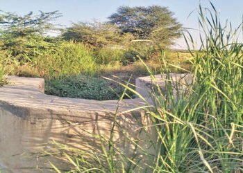 ગળતેશ્વર તાલુકાના 200 ખેડૂતોની જીવાદોરી સમાન નહેર જર્જરિત | The canal which is the lifeline of 200 f…