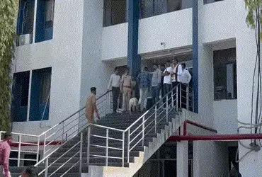 અમરેલી કોર્ટને બોમ્બથી ઉડાવી દેવાની ધમકી, 14 RDX બોમ્બના ઉલ્લેખ સાથે ઈ-મેઈલ આવતા તંત્રમાં દોડધામ | a…