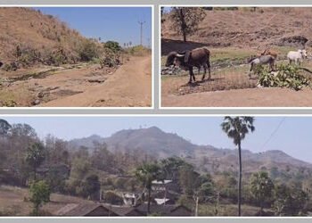 છોટા ઉદેપુર: નસવાડીના 100થી વધુ ગામોમાં જળ સંકટ! 10 વર્ષથી ચેકડેમોનું રિપેરિંગ ન થતાં નદીઓ કોરીધાકોર…