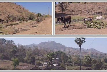 છોટા ઉદેપુર: નસવાડીના 100થી વધુ ગામોમાં જળ સંકટ! 10 વર્ષથી ચેકડેમોનું રિપેરિંગ ન થતાં નદીઓ કોરીધાકોર…