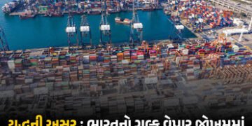 હોર્મુઝ બાદ રાતા સમુદ્રમાં પણ જોખમ! ભારતના 1800 કન્ટેઇનર પરત, 2000 કાર ફસાઈ | Red Sea & Hormuz Crisi…