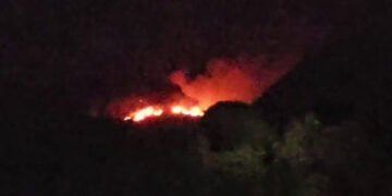 પાડોશી રાજ્યની આગ ગુજરાતના છોટા ઉદેપુર સુધી પહોંચી, વાઘ સ્થળના જંગલોમાં ભીષણ દાવાનળ | chhotaudepur v…