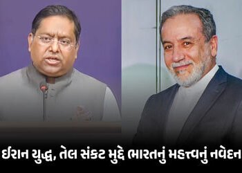 ઈરાનમાં ફસાયેલા ભારતીયોને સડક માર્ગે બહાર કઢાશે, પડોશી માંગી રહ્યા છે ડીઝલ: વિદેશ મંત્રાલય | India E…