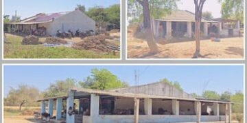 પંચમહાલ: કડાણા ડેમના વિસ્થાપિતોની જમીન ખાલી કરાવવા તંત્રની કાર્યવાહી, બામરોલીમાં 50 દબાણકારોને નોટિસ…