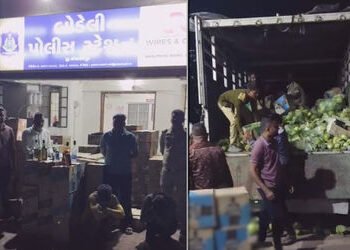 શાકભાજી નીચે સંતાડ્યો હતો દારૂ! બોડેલી પાસે મધ્ય પ્રદેશથી વડોદરા લઈ જવાતો વિદેશી દારૂનો જથ્થો ઝડપાયો…