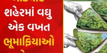 રતનપુરામાં નિરાધારની કરોડોની જમીન પર ગેરકાયદેસર કબજો છતાં તંત્રનું મૌન | Despite illegal occupation …