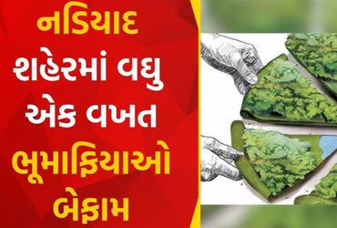 રતનપુરામાં નિરાધારની કરોડોની જમીન પર ગેરકાયદેસર કબજો છતાં તંત્રનું મૌન | Despite illegal occupation …