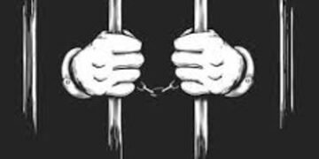 મોભા ગામમાં કાકાની હત્યા કરનારા આરોપીને દસ વર્ષની સજા | Accused who killed uncle in Mobha village ge…