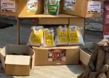 બળતણની તંગીના સમયમાં મ્યુનિ.દ્વારા એક હજાર કિલો છાણ સ્ટીક,છાણાંનુ વિતરણ | In times of fuel shortage