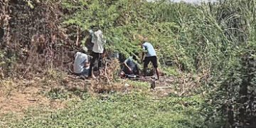 સરગવાડા ગામમાં તંત્ર જાગ્યું, 100 જેટલા ગેરકાયદે કનેક્શન કાપવાની કામગીરી શરૂ | Authorities wake up i…