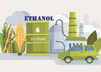 ઈંધણની અછતને ધ્યાનમાં રાખી ઈથેનોલ બ્લેન્ડિંગની માત્રા વધારવા માટે માંગ | Demand to increase ethanol …