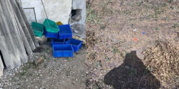 લાલપુર તાલુકાના ગલ્લા ગામમાં આવેલા બ્રાસપાર્ટના એક કારખાનાને ગઈ રાત્રિ દરમિયાન નિશાન બનાવતા તસ્કરો |…