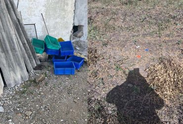 લાલપુર તાલુકાના ગલ્લા ગામમાં આવેલા બ્રાસપાર્ટના એક કારખાનાને ગઈ રાત્રિ દરમિયાન નિશાન બનાવતા તસ્કરો |…