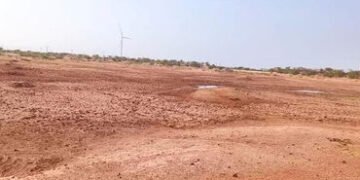 મુળી અને ચોટીલા પંથકમાં તળાવો તળિયાઝાટક : પશુપાલકોની હિજરત શરૂ | Lakes in Muli and Chotila parishes …