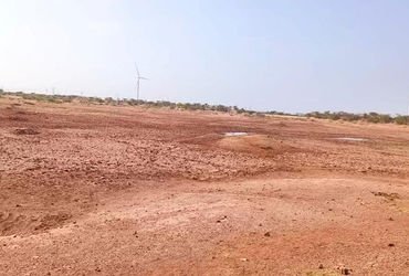 મુળી અને ચોટીલા પંથકમાં તળાવો તળિયાઝાટક : પશુપાલકોની હિજરત શરૂ | Lakes in Muli and Chotila parishes …