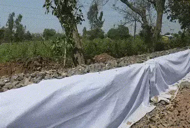 નસવાડી: નેશનલ હાઈવે 56ની કામગીરી ખેડૂતો માટે આફત, પ્રોટેક્શન વોલના કારણે ખેતરોમાં જવાનો રસ્તો બંધ | …