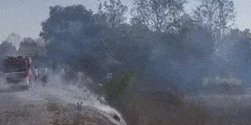 પંચમહાલ: શહેરાના પાલીખંડા રોડ પર ખેતરમાં ભીષણ આગ, કાળઝાળ ગરમી વચ્ચે પાક બળીને ખાખ | Crop Destroyed a…