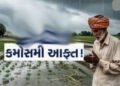 સુરેન્દ્રનગરમાં 3 દિવસ કમોસમી વરસાદના યલો એલર્ટથી ખેડૂતો ચિંતિત | Farmers worried over yellow alert …