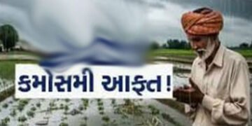 સુરેન્દ્રનગરમાં 3 દિવસ કમોસમી વરસાદના યલો એલર્ટથી ખેડૂતો ચિંતિત | Farmers worried over yellow alert …