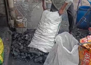 શહેરમાં કોલસાની ડિમાન્ડમાં ૨૫ ટકાનો વધારો, રોજ ૫૦૦૦ કિલો કોલસાનું વેચાણ | coal demand for cooking on…