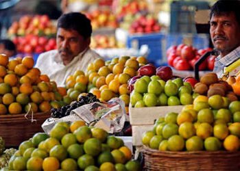 જથ્થાબંધ ફુગાવો વધીને ૨.૧૩ ટકા ઃ ૧૧ મહિનાની ટોચે | wpi inflation in february 2026