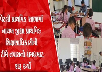 પેટલી શાળાના આચાર્ય-શિક્ષકોનો વિવાદ : 7 સભ્યોની તપાસ કમિટીની રચના | Petli School Principal Teachers …