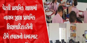 પેટલી શાળાના આચાર્ય-શિક્ષકોનો વિવાદ : 7 સભ્યોની તપાસ કમિટીની રચના | Petli School Principal Teachers …