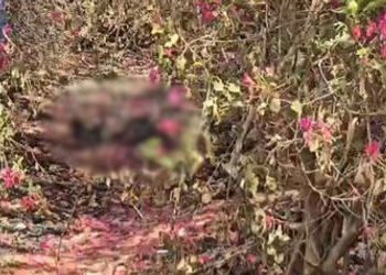 કચરાના ઢગલા પાસેથી સળગેલી હાલતમાં મહિલાની લાશ મળી | Inisin fefin ra kuna pwe a fen karelo