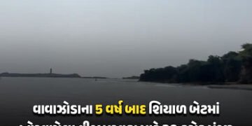 તાઉતેના 5 વર્ષ બાદ સરકાર ‘જાગી’: શિયાળબેટમાં ક્ષતિગ્રસ્ત સમુદ્રી કેબલ માટે 30 કરોડ મંજૂર, વિલંબ સામે…