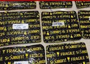 વધુ રૂા. 10 લાખનો હાઇબ્રિડ ગાંજો કબ્જે : મુંબઇથી સ્પિકરમાં જથ્થો આવતો | More than Rs 10 lakh worth o…