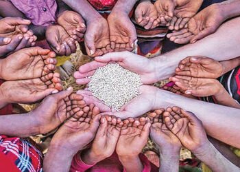 યુદ્ધને કારણે સંપૂર્ણ વિશ્વમાં અન્ન સલામતિ સામે ઊભું થયેલું જોખમ | The threat posed to food security…