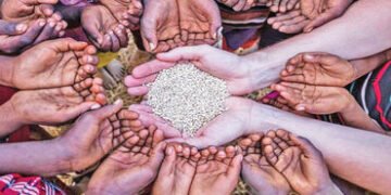 યુદ્ધને કારણે સંપૂર્ણ વિશ્વમાં અન્ન સલામતિ સામે ઊભું થયેલું જોખમ | The threat posed to food security…