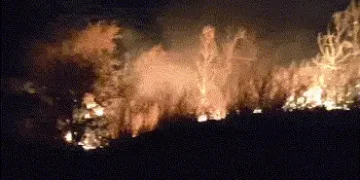 અરવલ્લી: માલપુર, મેઘરજ અને શામળાજીના ડુંગરો પર લાગી આગ, છતાં વન વિભાગ નિષ્ક્રિય હોવાનો આરોપ | Araval…