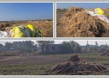 અમદાવાદમાં કમોસમી વરસાદ અને ‘મિની વાવાઝોડા’એ તારાજી સર્જી, ખેડૂતોનો પાક પલળ્યો | Unseasonal Rain Min…