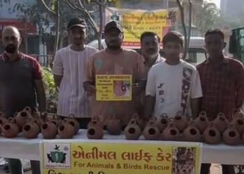 વિશ્વ ચકલી દિવસ: અમદાવાદમાં ‘એક પ્રયાસ ચકલી બચાવવાનો’ અભિયાન, પરિમલ ગાર્ડન ખાતે વિનામૂલ્યે ચકલીના મા…