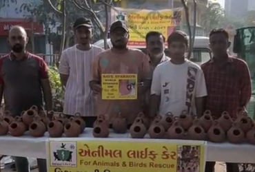 વિશ્વ ચકલી દિવસ: અમદાવાદમાં ‘એક પ્રયાસ ચકલી બચાવવાનો’ અભિયાન, પરિમલ ગાર્ડન ખાતે વિનામૂલ્યે ચકલીના મા…