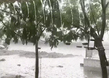 આગાહી વચ્ચે ગીર પંથકમાં ધોધમાર વરસાદ, રસ્તાઓ-ખેતરોમાં પાણી ફરી વળતા ખેડૂતો ચિંતાતુર | Gujarat Weathe…