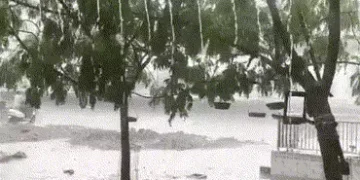 આગાહી વચ્ચે ગીર પંથકમાં ધોધમાર વરસાદ, રસ્તાઓ-ખેતરોમાં પાણી ફરી વળતા ખેડૂતો ચિંતાતુર | Gujarat Weathe…