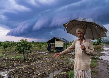 ગુજરાતમાં વેસ્ટર્ન ડિસ્ટર્બન્સ સક્રિય, આગામી 24 કલાક કમોસમી વરસાદની આગાહી, જાણો કયા જિલ્લામાં પડશે મ…